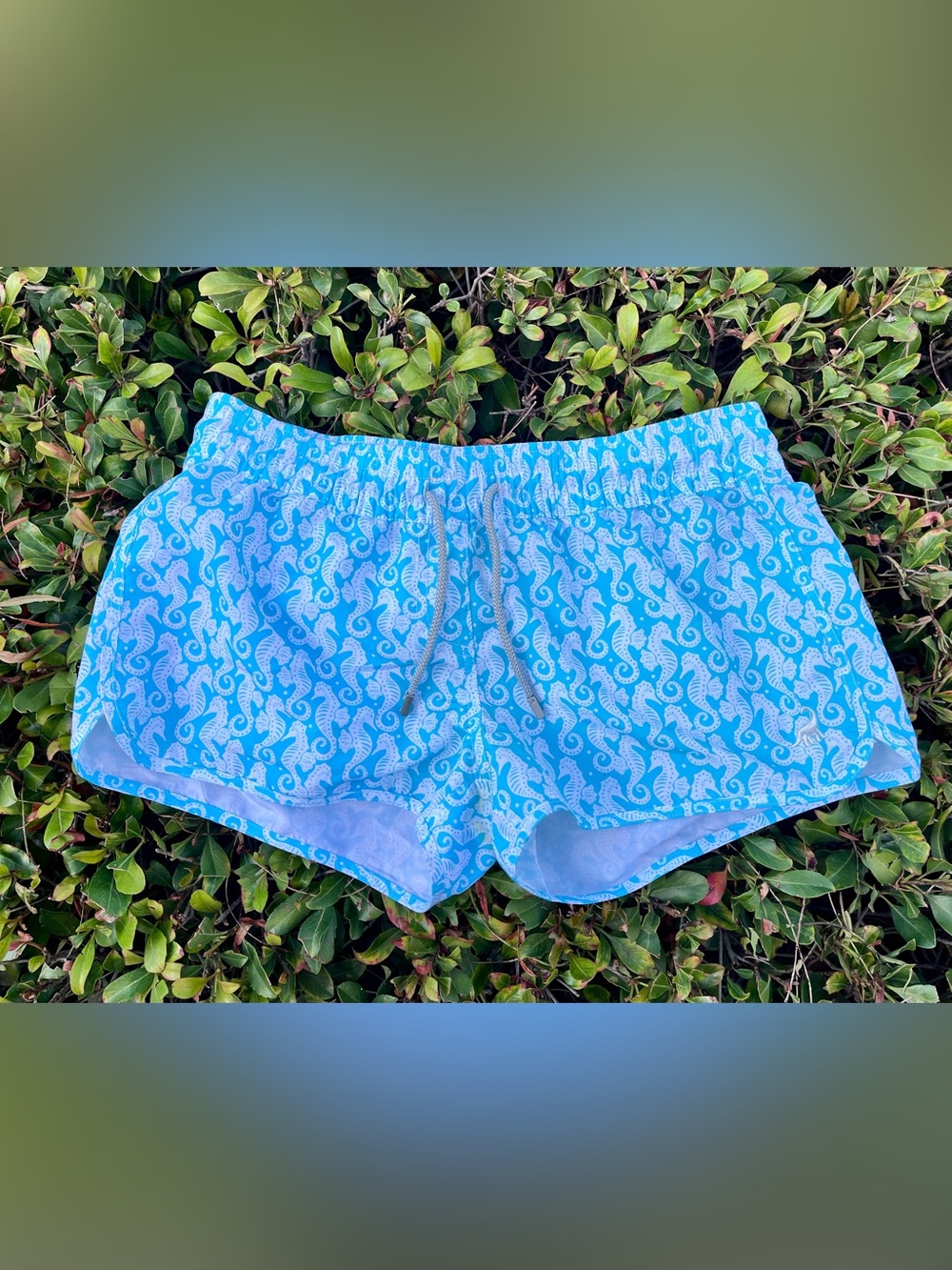 Women’s SurfCuz Shorts Size Medium